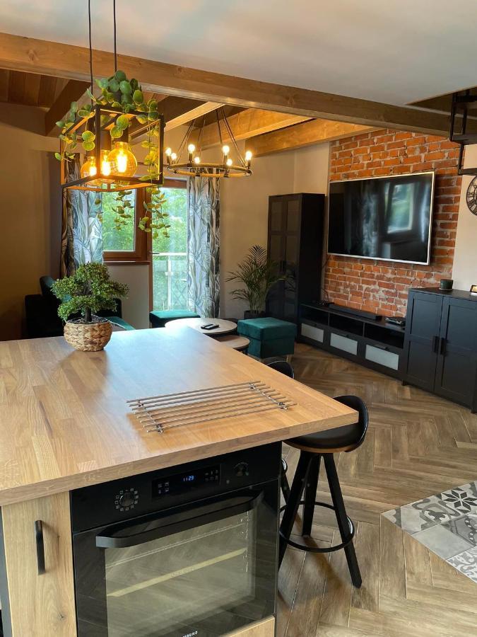 Apartamenty Miejscowka - Apartamenty Z Widokiem Na Gory - Bezplatny Parking Закопане Екстер'єр фото